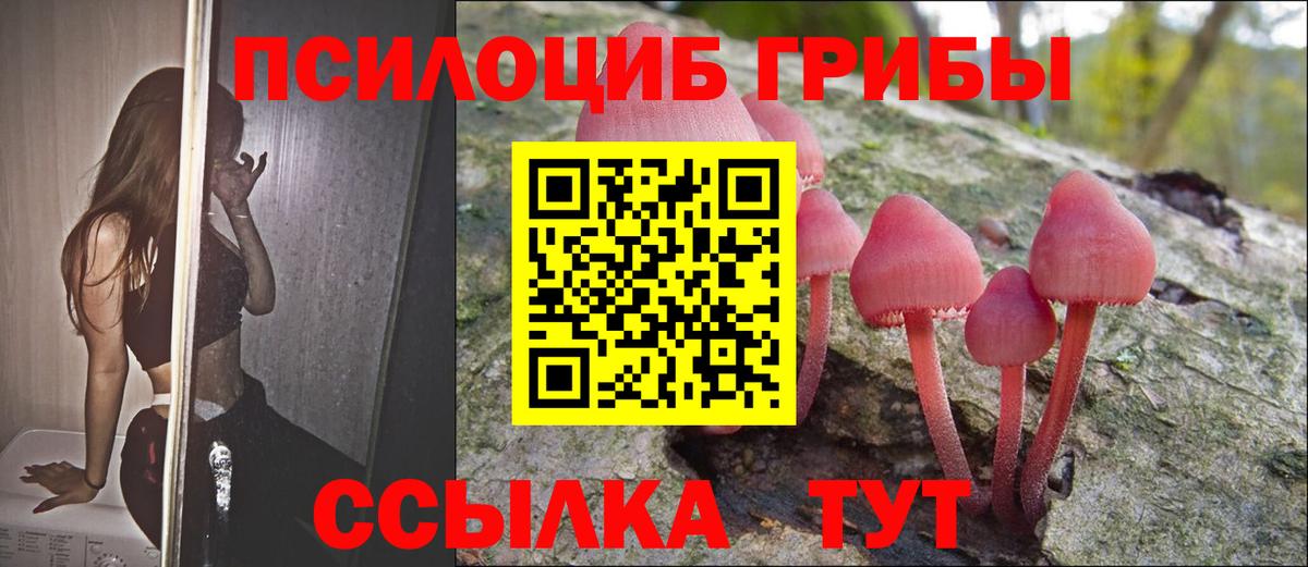 Псилоцибиновые грибы Magic Shrooms Еманжелинск